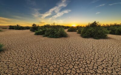 La Costa del Sol Occidental pasa a situación de prealerta por sequía