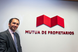 Director Mutua de Propietarios